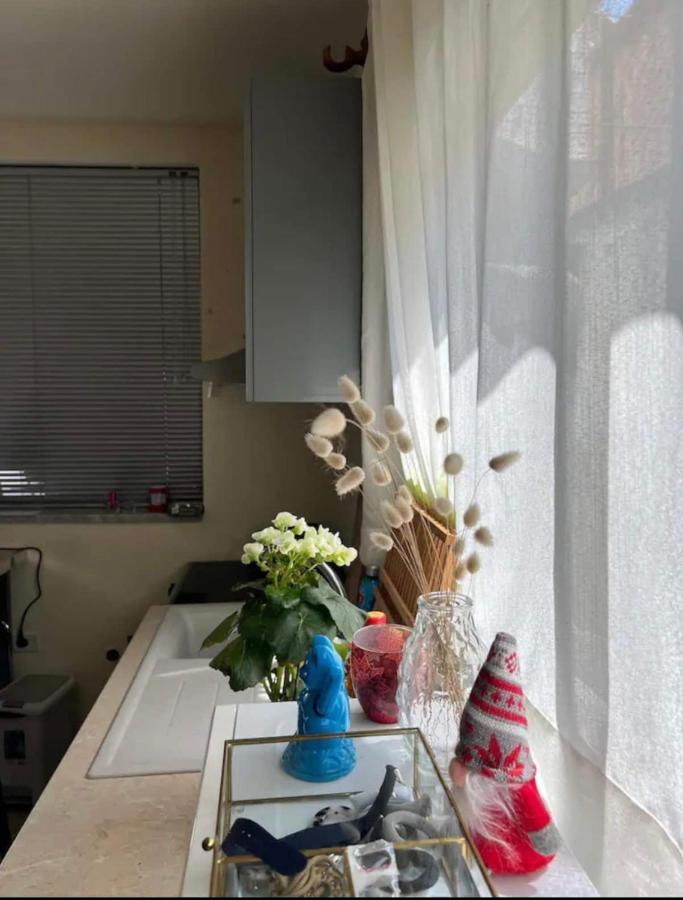 Brilant Studio Apartment City Center Tirana Exterior photo